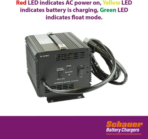Vista 7 de Cargador de batería Powerwise de 36 voltios para carrito de golf Ezgo. Este es un cargador de batería para carrito de golf Schauer