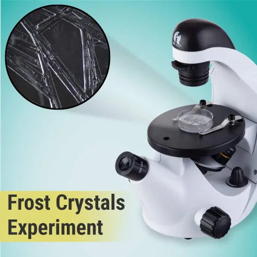 Vista 4 de IQCrew por AmScope 40X-200X Kids Inverted Microscopio compuesto para estudiantes