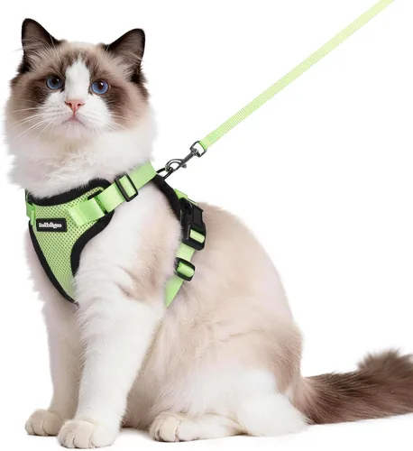 Vista 90 de rabbitgoo Cat Harness and Leash Set, Escape Proof Vest, XXS, Berry Pounce Soft Breathable Mesh, No-choke Adjustable Fit, Snap Buckles, Sturdy