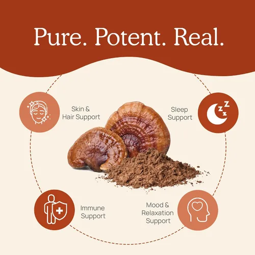 Vista 7 de Real Mushrooms Paquete de apoyo para el cerebro, la vitalidad y el sistema inmunológico: cápsulas de cognición de melena de león (120 cápsulas) +