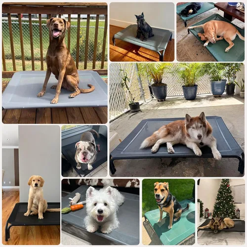 Vista 7 de Cama Elevada para Perros Catre Elevado para Perros al Aire Libre para Perros Medianos, la Instalación No Requiere Herramientas, Marco con Malla