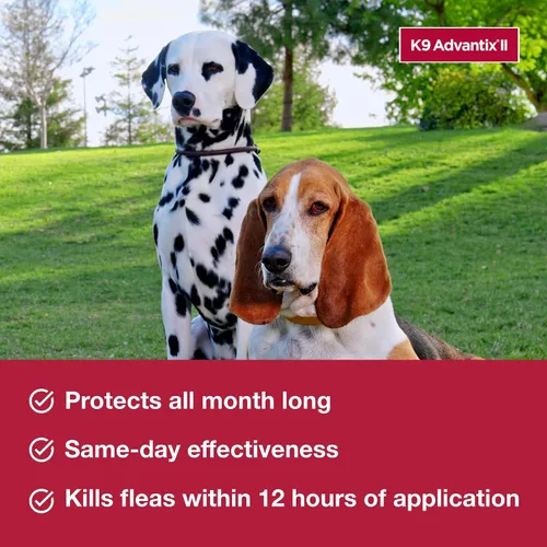 Vista 3 de Paquete de perros pequeños K9 Advantix II Perros de 4 a 10 libras Suministro de 6 meses + multivitamínico diario Pet Protect para perros 60