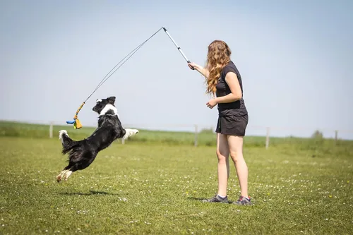 Vista 7 de YES4QUALITY Poste de coqueteo para perros – Seguro y fuerte para razas grandes con cuerda no elástica – Poste de resorte para tira y afloja, juego
