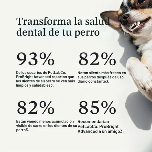 Vista 4 de PetLab Co. ProBright Advanced - Polvo dental para perros extra pequeños, 30 cucharadas