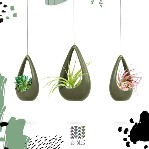 Vista 2 de 23 Bees, Soporte colgante para plantas de aire, maceta de cerámica con colgador verde, contenedor pequeño flotante para suculentas, soportes