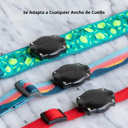 Vista 6 de Elevation Lab TagVault AirTag - Soporte para collar de perro (individual) - IP69 impermeable, no cuelga, se adapta a todos los collares de ancho