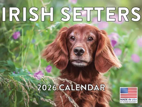 Vista 128 de Calendario mensual de pared Airedale Terrier Dog 2027 rojo (Airedale Terrier)