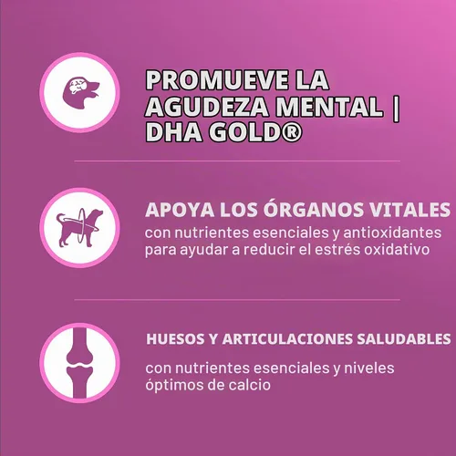 Vista 4 de IAMS Proactive Health Healthy Aging - Alimento seco para perros, pollo, 5 libras