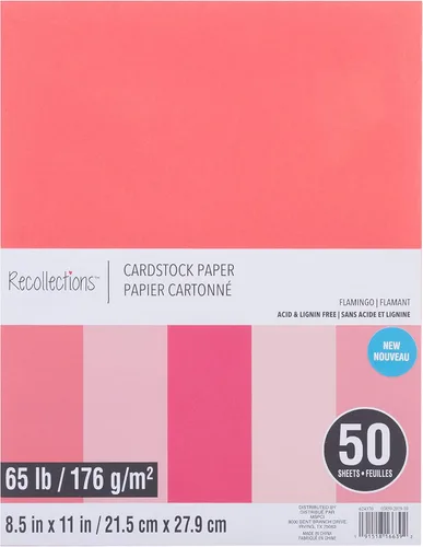 Vista 15 de Recollections 600 hojas de papel de cartulina de 8.5 x 11 pulgadas, sin ácido ni lignina, para álbumes de recortes, artes y manualidades, paquete a
