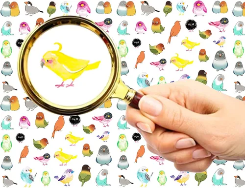 Vista 5 de Pegatinas para uñas (5 hojas) FLONZNAIL Impresionantes pájaros ilustración de libro vintage