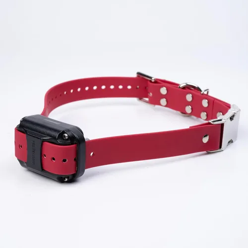 Vista 3 de Sparky Pet Co Apollo - Correa de repuesto para collar electrónico de doble hebilla, 1 Negro