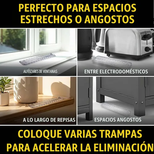 Vista 4 de Catchmaster Defiant - Trampas para hormigas reutilizables extra largas para interiores (paquete de 8), cebo no incluido - Estaciones de cebo