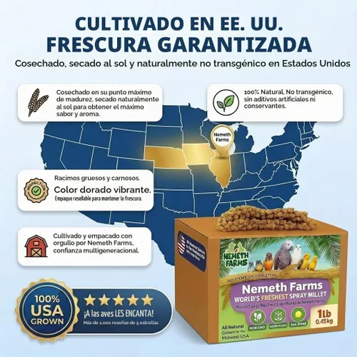 Vista 8 de Nemeth Farms Spray Millet - Tapas comestibles solamente, sin OMG y secado al sol, 1 libra para periquitos, canarios y pinzones