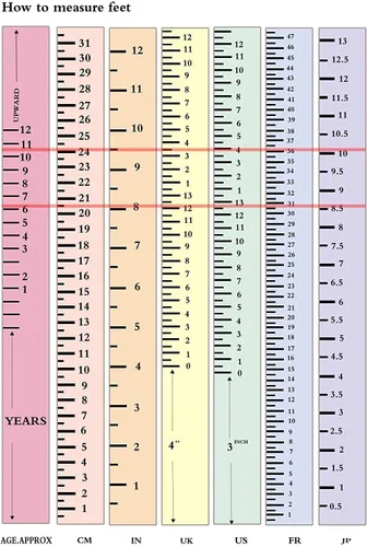 Vista 4 de Calcetines de fútbol para niños, jóvenes y adultos (1345 pares) calcetines largos hasta la rodilla para deportes