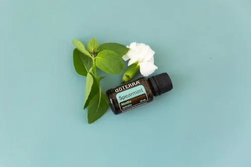 Vista 2 de doTERRA - Aceite Esencial de Menta Verde - 15 mL
