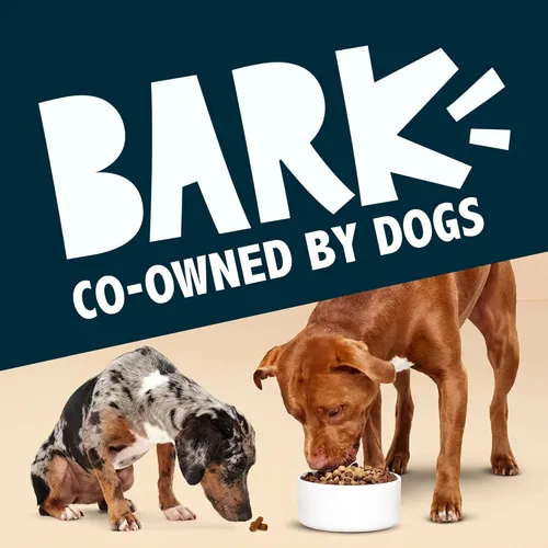 Vista 7 de Barkbox Bada Bing Alimento Seco para Perros de Res, Complementos con Alto Contenido de Proteínas e Ingredientes Limitados Potenciador de Comidas