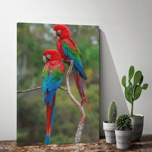 Vista 2 de Pósteres de lona con diseño de guacamayos rojos y verdes para habitación de pájaros, decoración de dormitorio, decoración deportiva, oficina