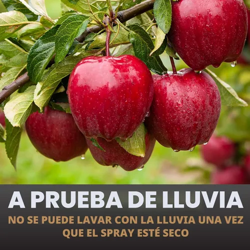 Vista 7 de Spectracide Immunox - Concentrado de aerosol fungicida multiuso para jardines de 16 onzas, protege hasta 2 semanas