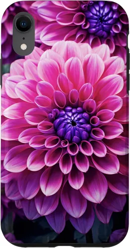 Vista 24 de Dahlia Flower Floral Nature Garden Funda con diseño granate rosa y morado para iPhone 16