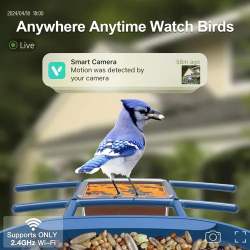 Vista 2 de Comedero para pájaros con cámara alimentado por energía solar: Comedero inteligente para aves con cámara de alimentación en vivo de 2K