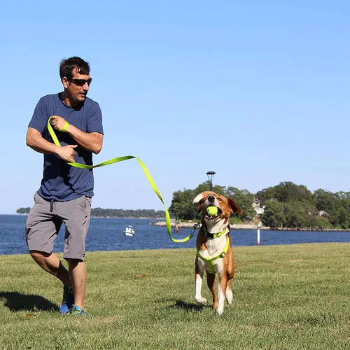 Vista 8 de Pawtitas Arnés Sólido Step-in para Perro – Chaleco Ajustable Sin Tirones para Cachorros hasta Seniors, Seguro y Cómodo XS Negro