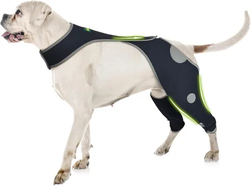 Vista 12 de Codera para perro para codo canino y hombro, displasia, osteoartritis, callos de codo, úlceras por presión, coderas de perro para una mejor