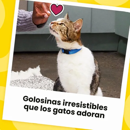 Vista 10 de Golosinas para gatos, Temptations, 30 onzas