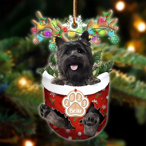 Vista 101 de NAZENTI Adorno Navideño de Bolsillo Personalizado de Affenpinscher en la Nieve, Adorno de Forma Acrílica de Perro, Adorno de Navidad 2023, Adorno