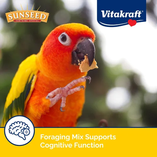 Vista 4 de Sunseed Vita Prima Conure Food - Mezcla rica en nutrientes con frutas, verduras y semillas que apoya plumas, ojos y energía activa saludables