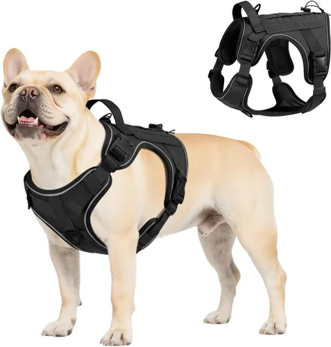 Vista 7 de VavoPaw cinturón de seguridad para perro, arnés de coche con hebilla ajustable para perro, cinturón de seguridad de nailon para mascotas, resistente
