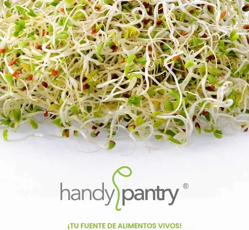 Vista 6 de Handy Pantry Surtidos de semillas orgánicas para germinar – Microgreens, paquete variado de semillas de brotes (paquete de 12 – premedidas)