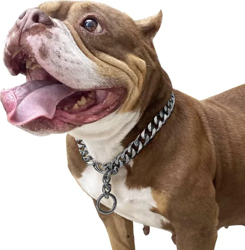 Vista 12 de Cierres de langosta fuertes ajustables para perros, collar de titanio, para entrenamiento, caminar, de metal, a prueba de masticación, para perros