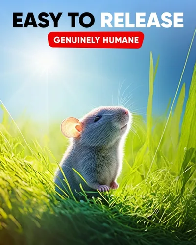 Vista 7 de Trampa humana para ratones para interiores y exteriores, paquete de 2 unidades, atrapa ratones y ratones, trampa pequeña para el hogar, trampa