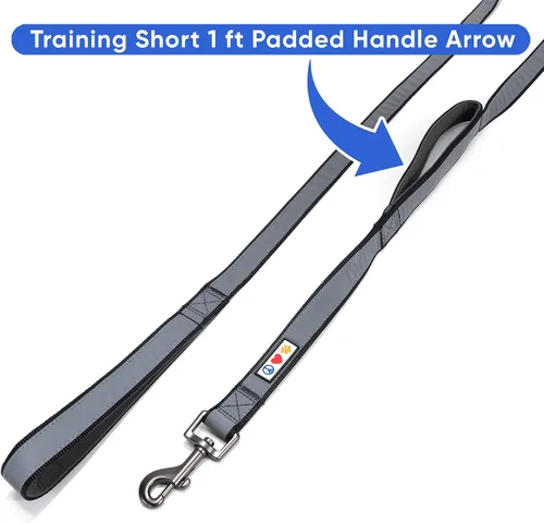 Vista 5 de Pawtitas Correa de perro de doble asa resistente para entrenamiento sin tirones, ideal para perros medianos y grandes, ideal para caminar, correr