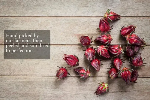 Vista 5 de Flores de hibisco de acedera (1 libra) pétalo entero, hace té helado refrescante o té caliente