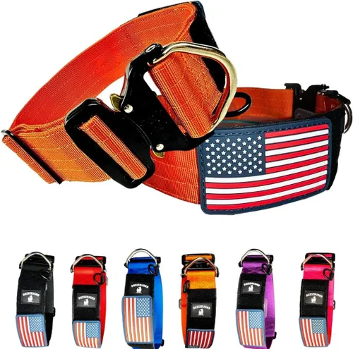 Vista 12 de Collar táctico para perros de 2 pulgadas de ancho con hebilla de metal de NEGRO-COBD2