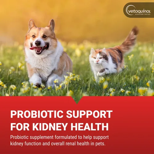 Vista 3 de Vetoquinol Azodyl - Suplemento para la salud renal para perros y gatos, 90 unidades, probiótico para el bienestar de las mascotas, ayuda a apoyar