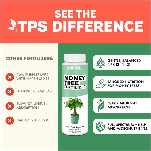Vista 4 de Fertilizante para árbol del dinero para árboles del dinero y todas las plantas de Pachira, alimento líquido para plantas 8 oz (250mL)