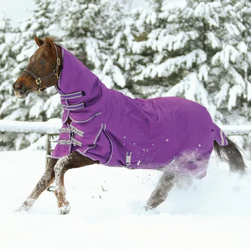 Vista 5 de Manta de participación clásica II para caballo Cubierta de cuello adjunta Cinturón cruzado Manta de invierno impermeable para caballo