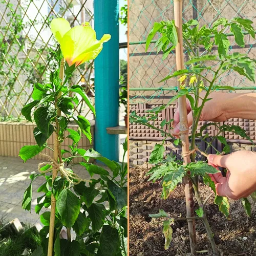 Vista 5 de Vivifying Cordel de yute, 328 pies y 0.118 in fuerte cuerda de jardín natural para plantas trepadoras, tomates, manualidades, envoltura de regalos