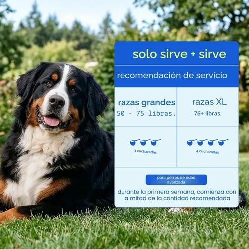 Vista 8 de Native Pet Vitaminas y suplementos diarios para perros mayores – Polvo multivitamínico 12 en 1 para perros mayores – Apoya la movilidad