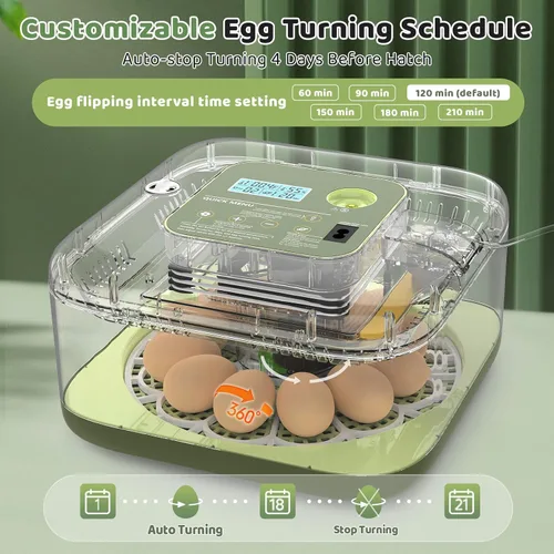 Vista 5 de Incubadoras para incubar huevos Incubadora automática de huevos con control de temperatura y pantalla de humedad, capacidad de 12 huevos para pollo