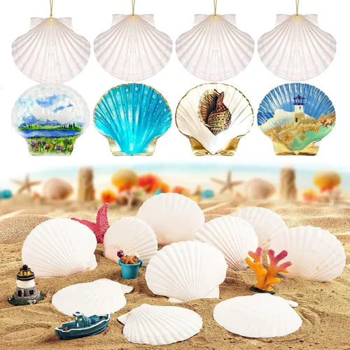 Vista 3 de 12 conchas de vieira naturales grandes de 4 a 5 pulgadas, conchas marinas blancas para manualidades, pintura a mano, fiestas temáticas oceánicas