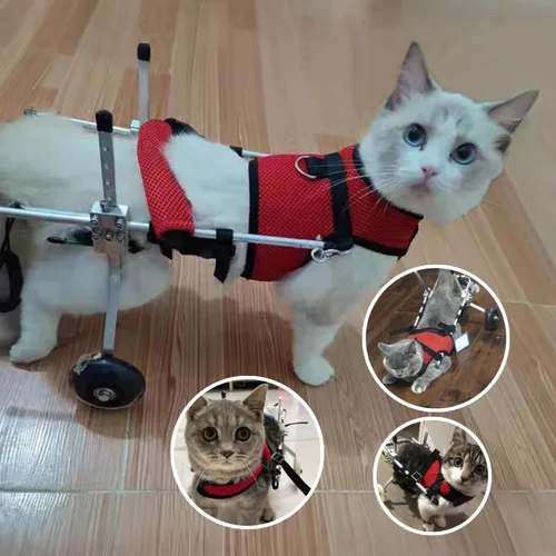 Vista 2 de Silla de ruedas ligera para mascotas para patas traseras, arnés ajustable para gatos, perros y conejos