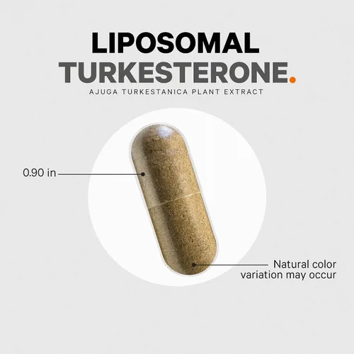 Vista 8 de Codeage Suplemento de turkesterona, suministro para 4 meses, hidroxipropil-β-ciclodextrina, entrega liposomal, deportes, pre y después