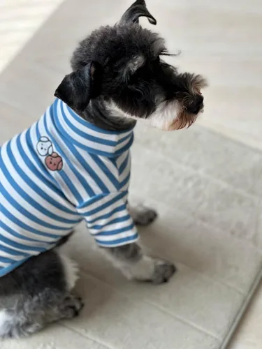 Vista 3 de Camisa de cuello alto para perro, linda sudadera con bordado de perrito, súper suave, elástica a rayas, para gatos, perros pequeños, medianos y Raya