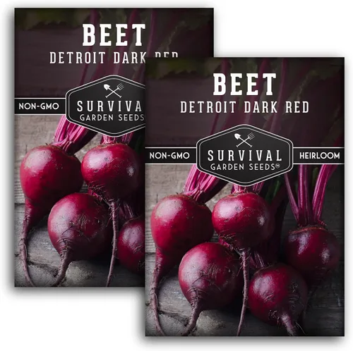 Vista 10 de Detroit - Semillas de remolacha roja oscura para plantar, remolacha roja clásica para cultivo de jardín al aire libre, remolacha tradicional de alto