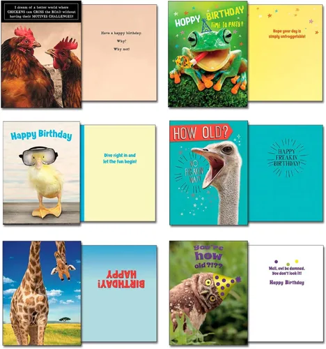 Vista 8 de Leanin' Tree Wildly Funny - Made In USA - 20 Tarjetas Surtidas con Sobres para Todas las Ocasiones, Tarjetas de Cumpleaños Suficientemente