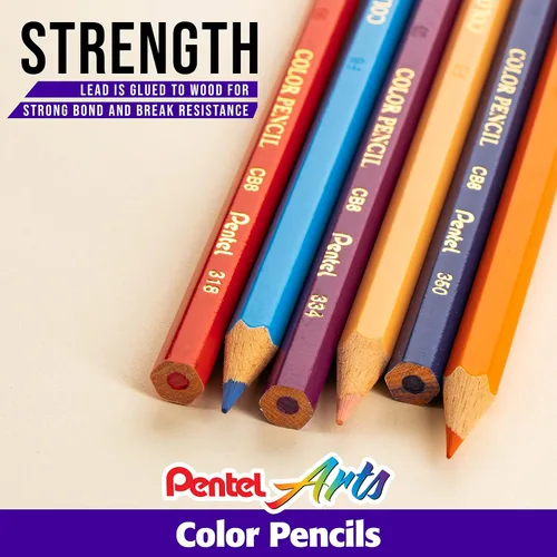 Vista 4 de Pentel Arts - Lápices de colores, colores surtidos, paquete de 36 (CB8-36)