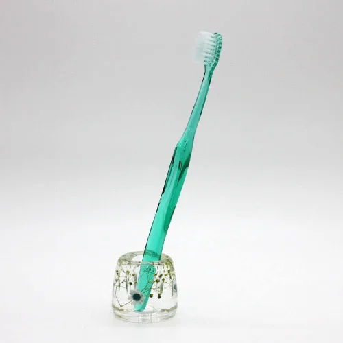 Vista 8 de N&N Find Japan Soporte japonés para cepillos de dientes con flor real en acrílico (azul estrella)